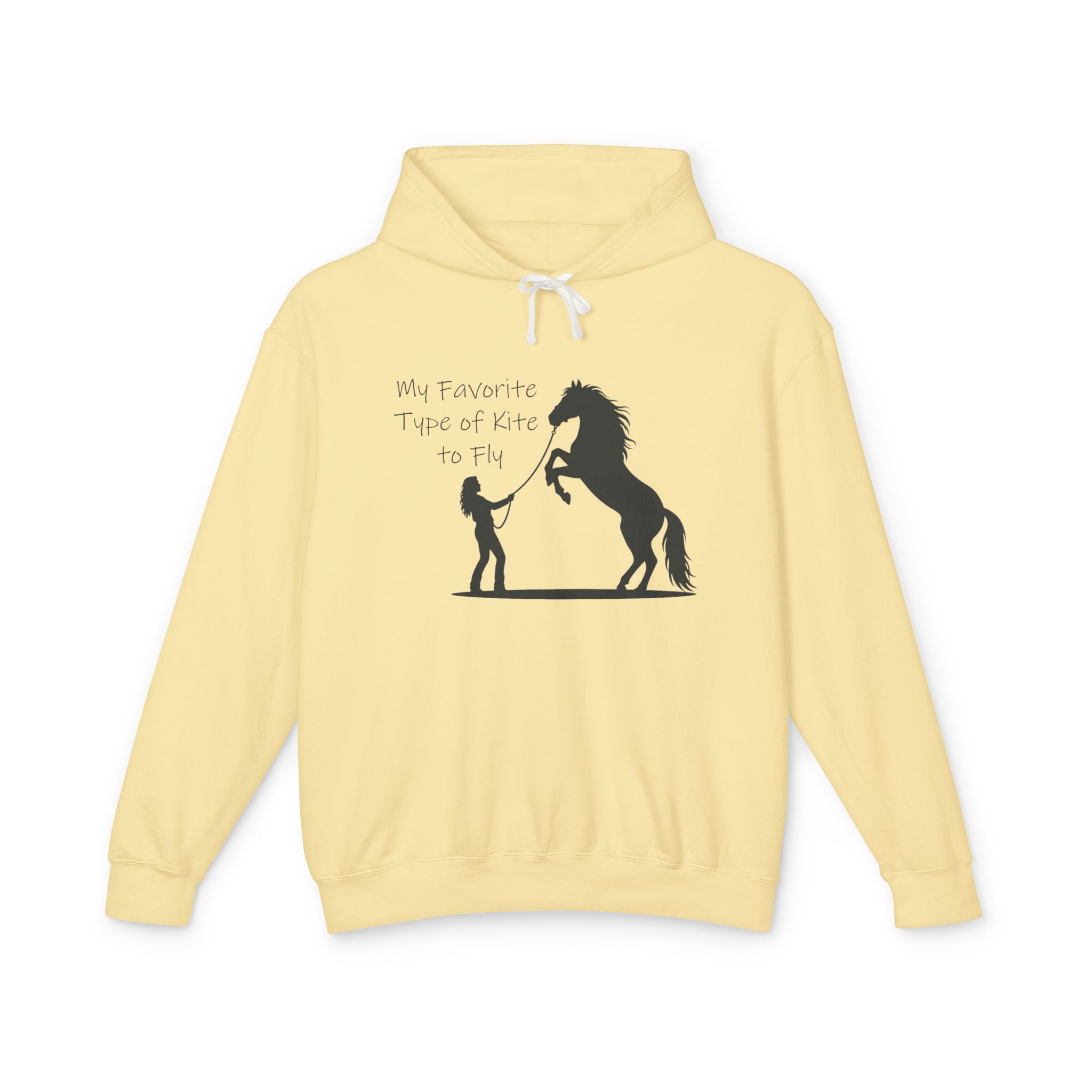 My Favorite Type of Kite Lightweight Hooded Sweatshirt