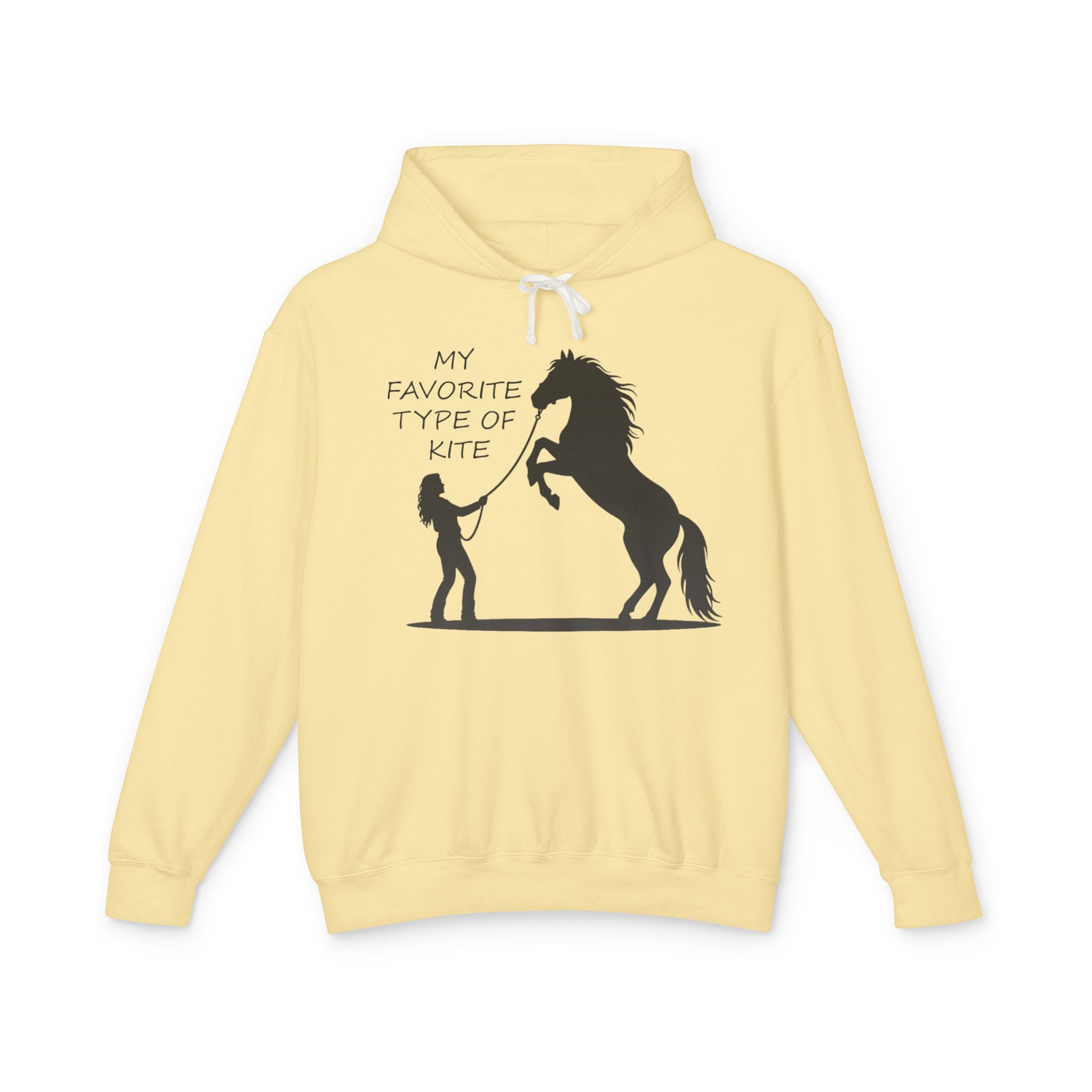 My Favorite Type of Kite Lightweight Hooded Sweatshirt
