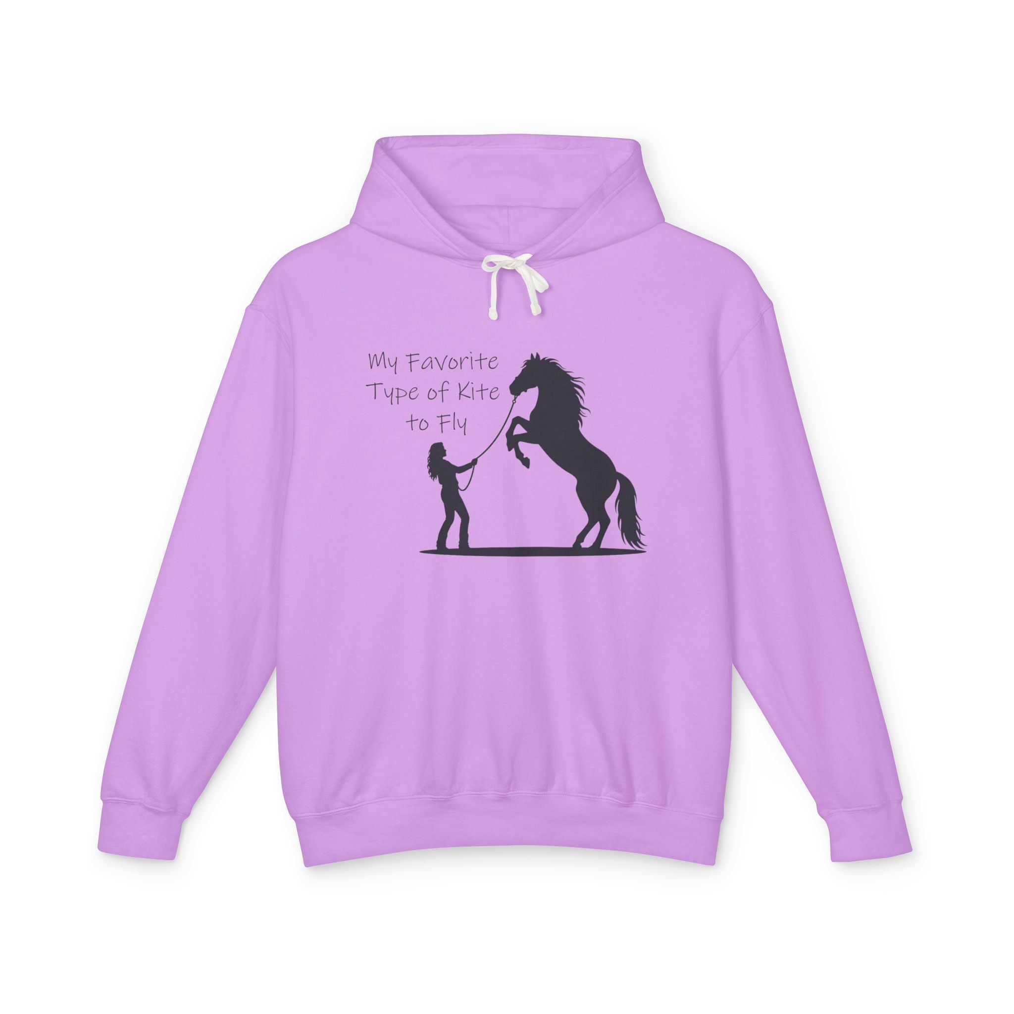My Favorite Type of Kite Lightweight Hooded Sweatshirt
