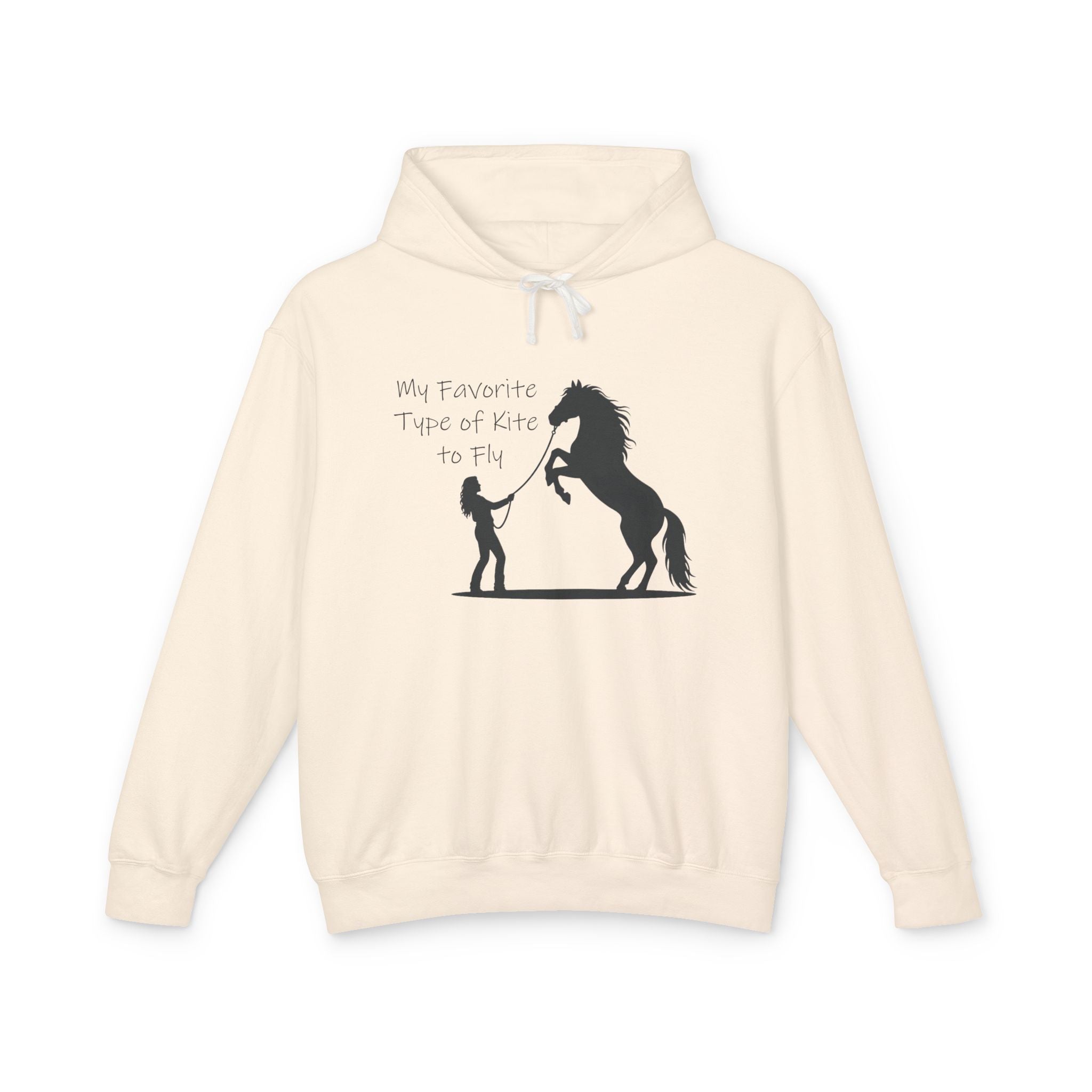 My Favorite Type of Kite Lightweight Hooded Sweatshirt