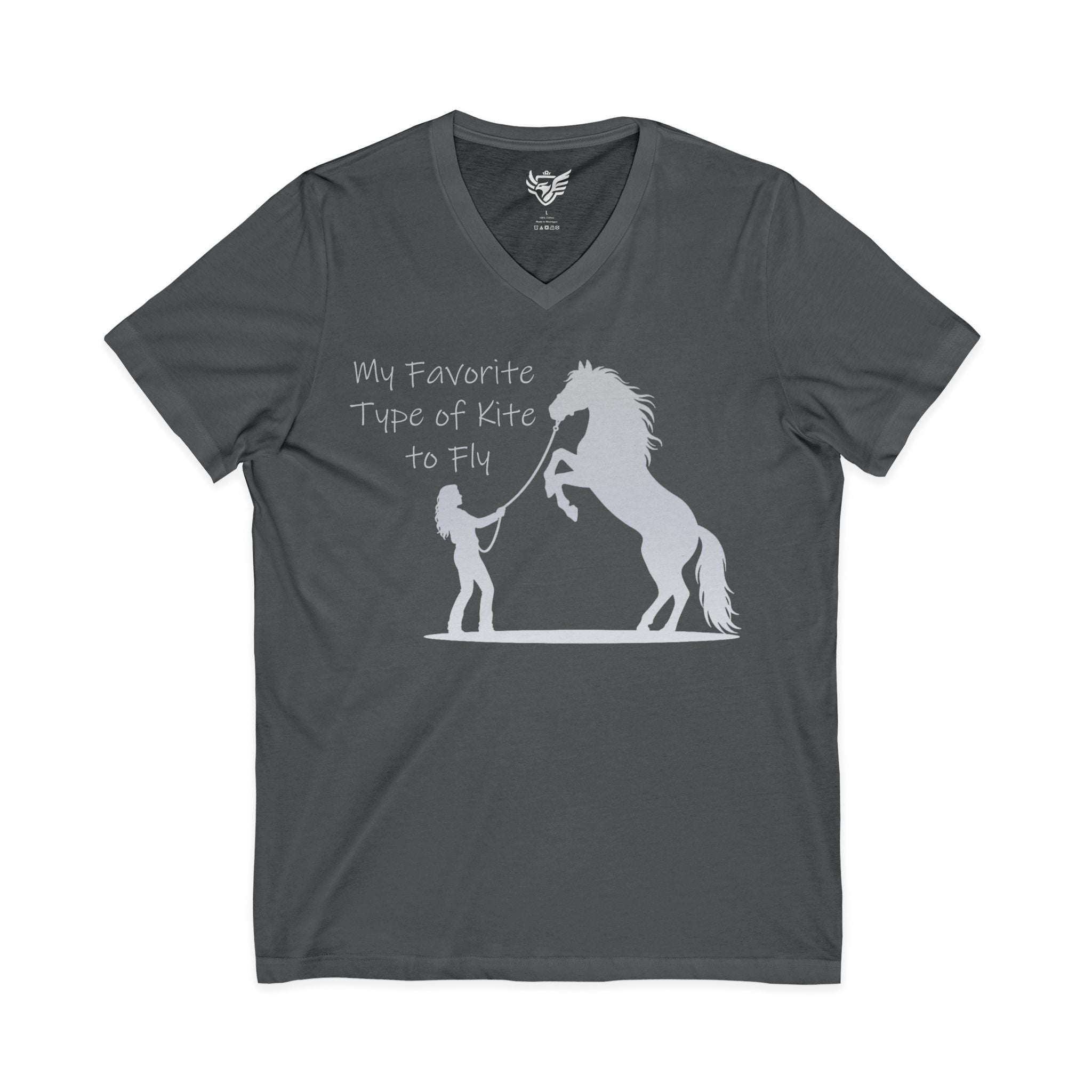My Favorite Type of Kite Jersey Short Sleeve V-Neck Tee
