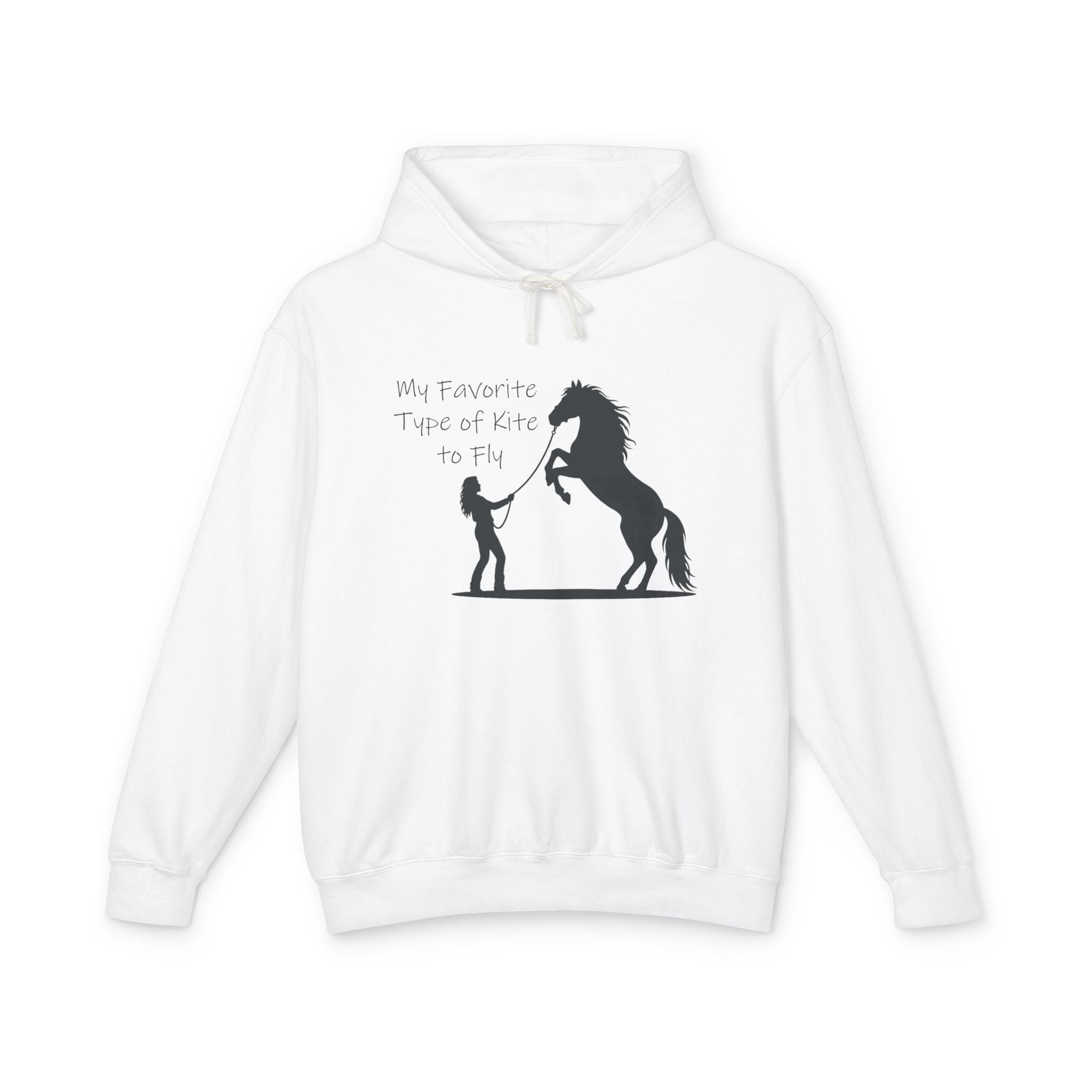 My Favorite Type of Kite Lightweight Hooded Sweatshirt