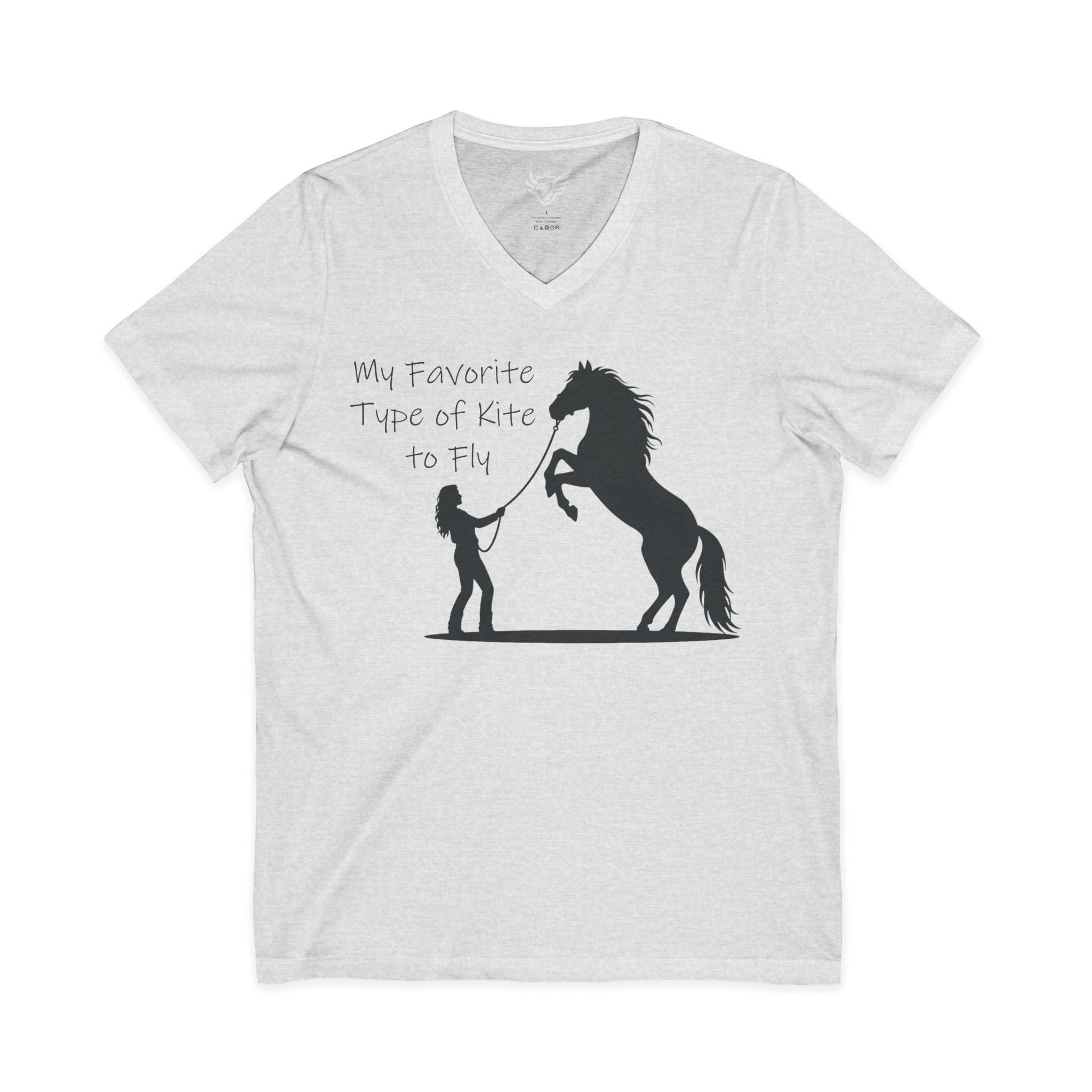 My Favorite Type of Kite Jersey Short Sleeve V-Neck Tee