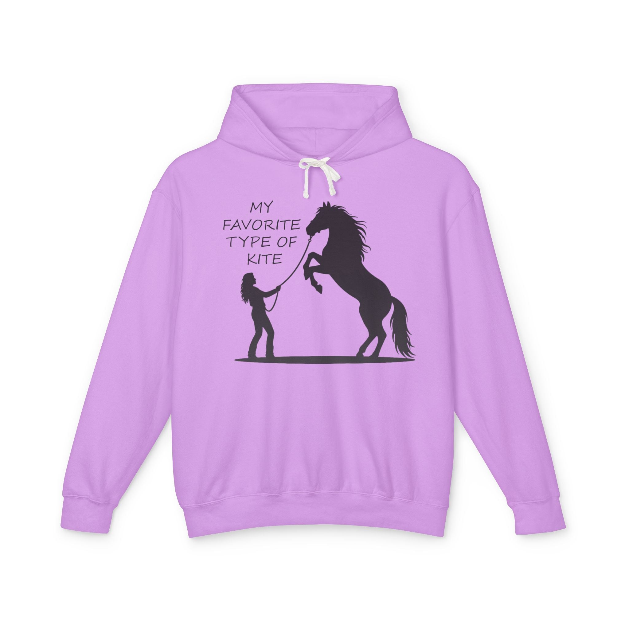 My Favorite Type of Kite Lightweight Hooded Sweatshirt