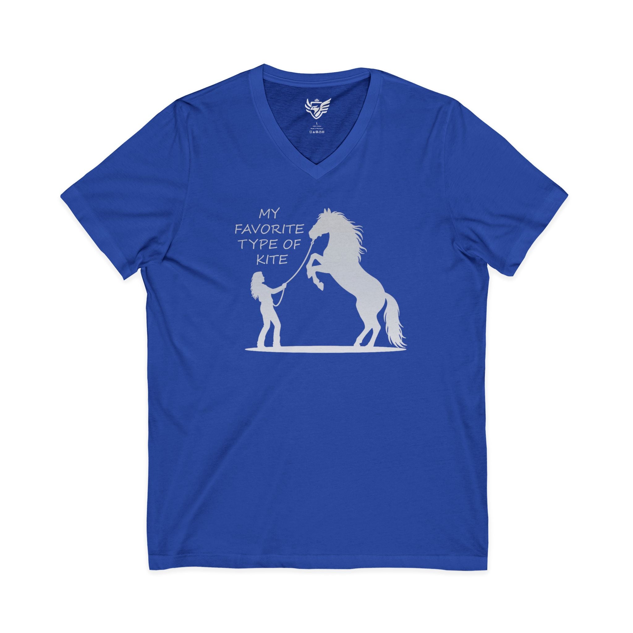 My Favorite Type of Kite Jersey Short Sleeve V-Neck Tee