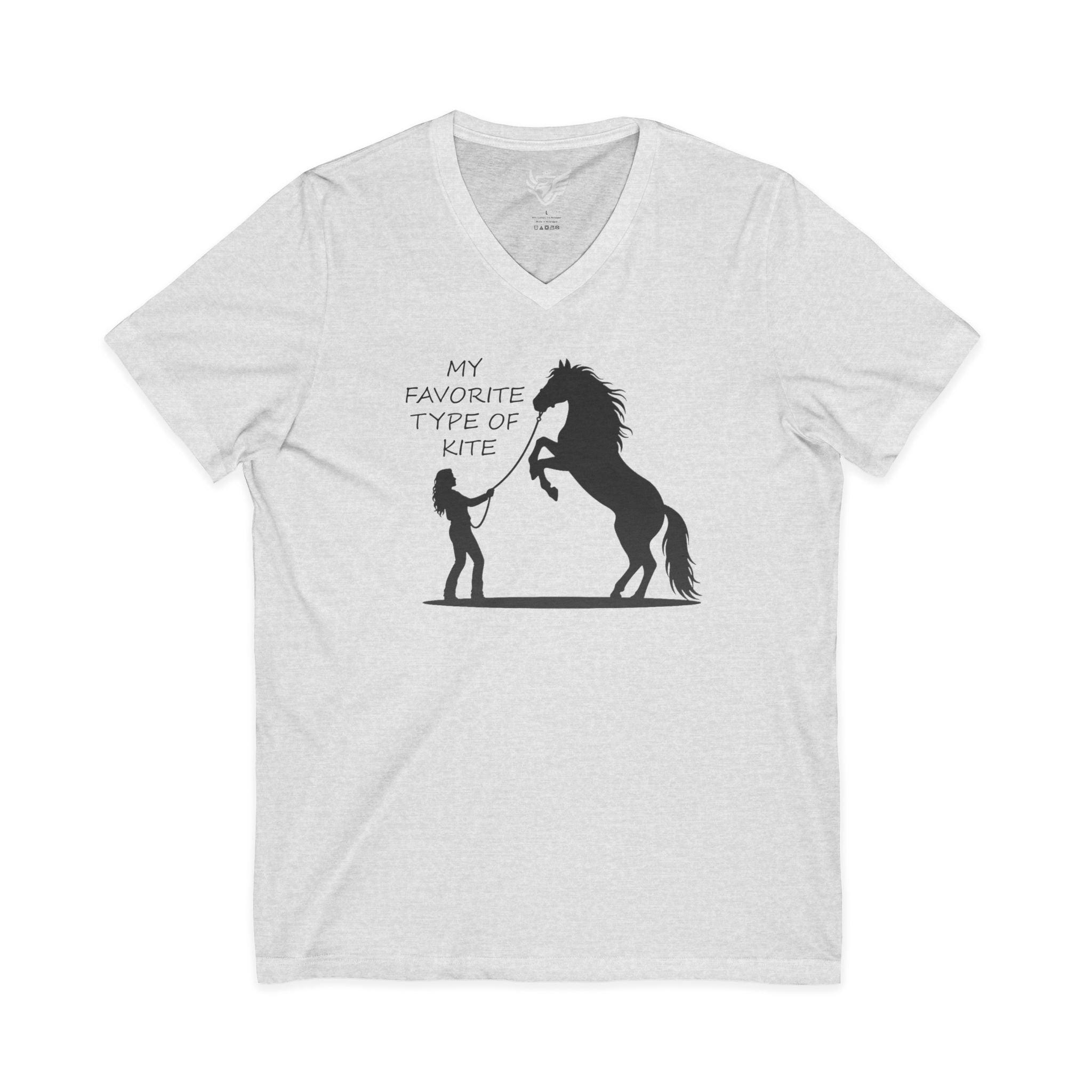 My Favorite Type of Kite Jersey Short Sleeve V-Neck Tee