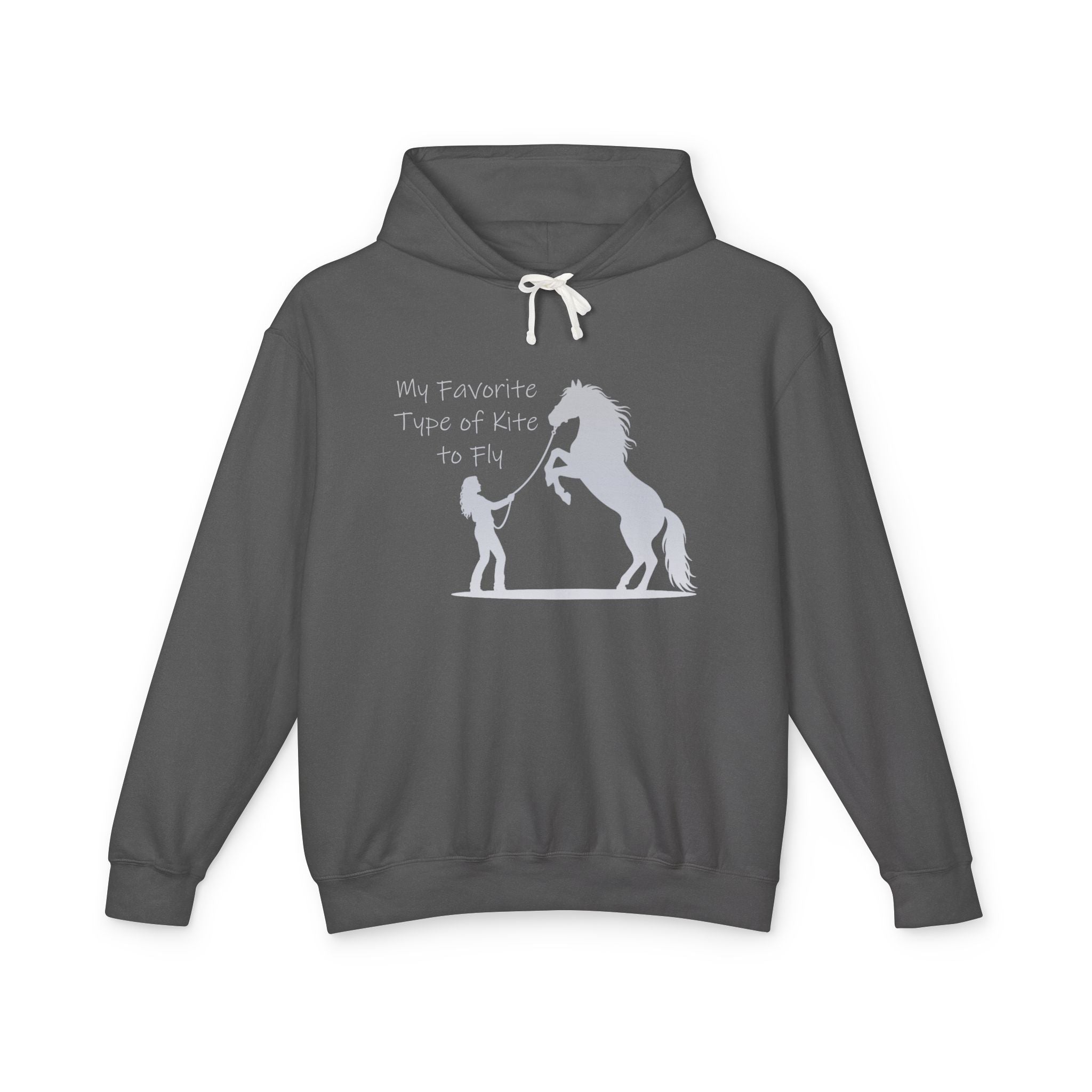 My Favorite Type of Kite Lightweight Hooded Sweatshirt