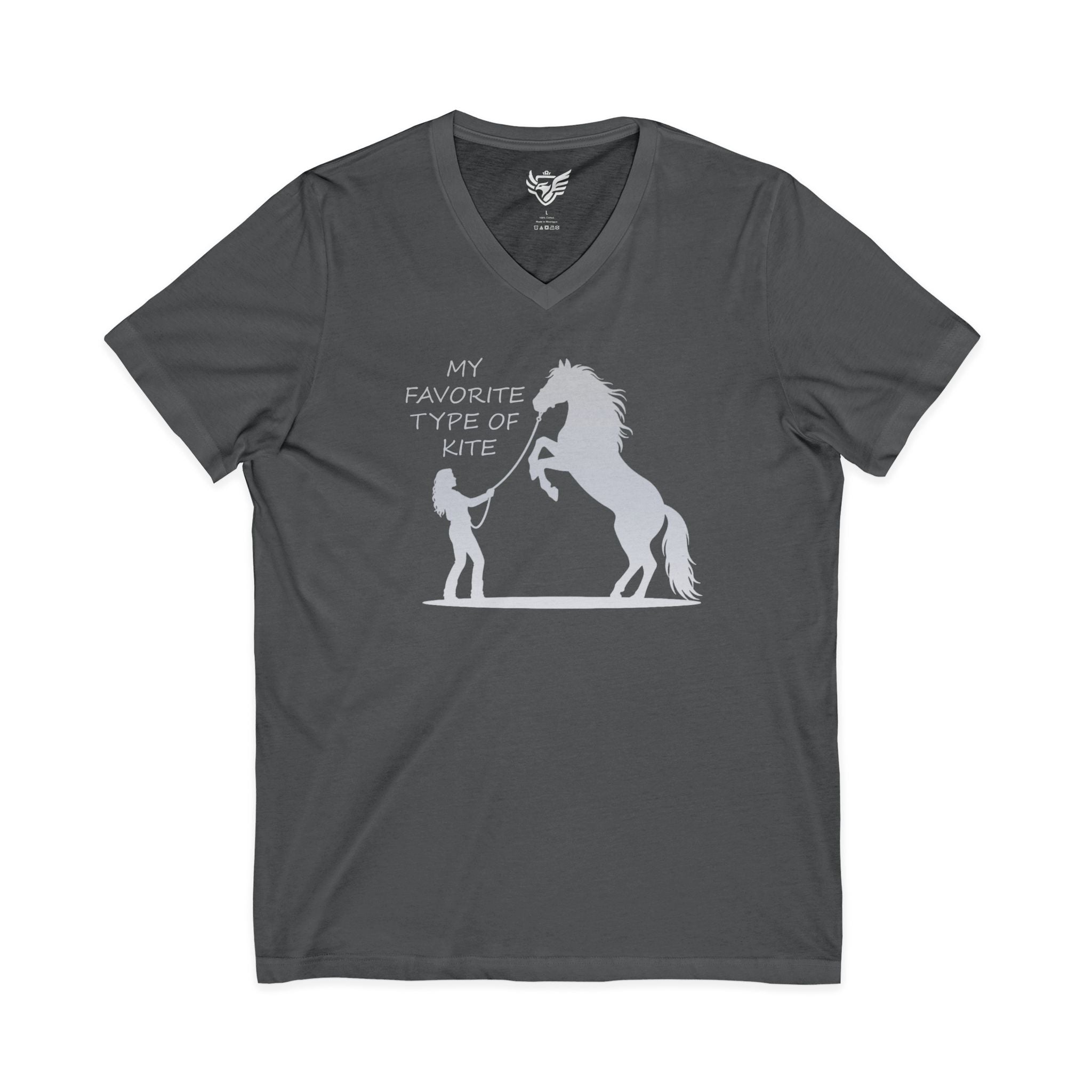 My Favorite Type of Kite Jersey Short Sleeve V-Neck Tee