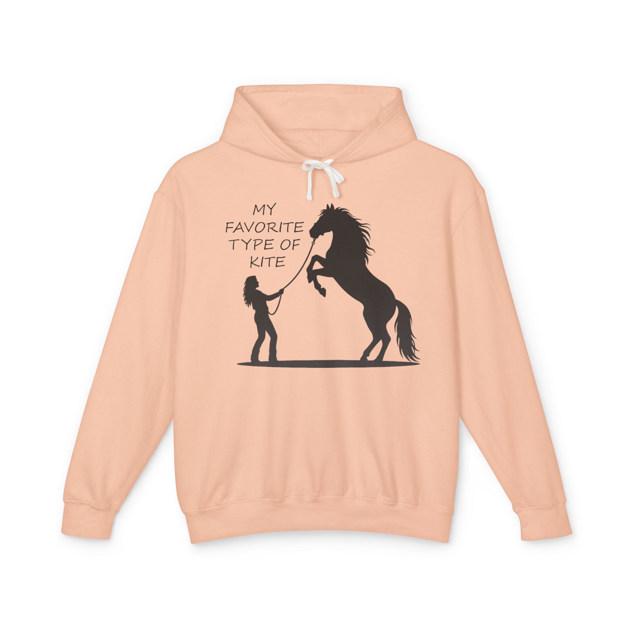 My Favorite Type of Kite Lightweight Hooded Sweatshirt