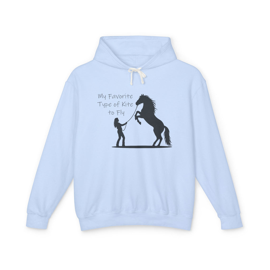 My Favorite Type of Kite Lightweight Hooded Sweatshirt