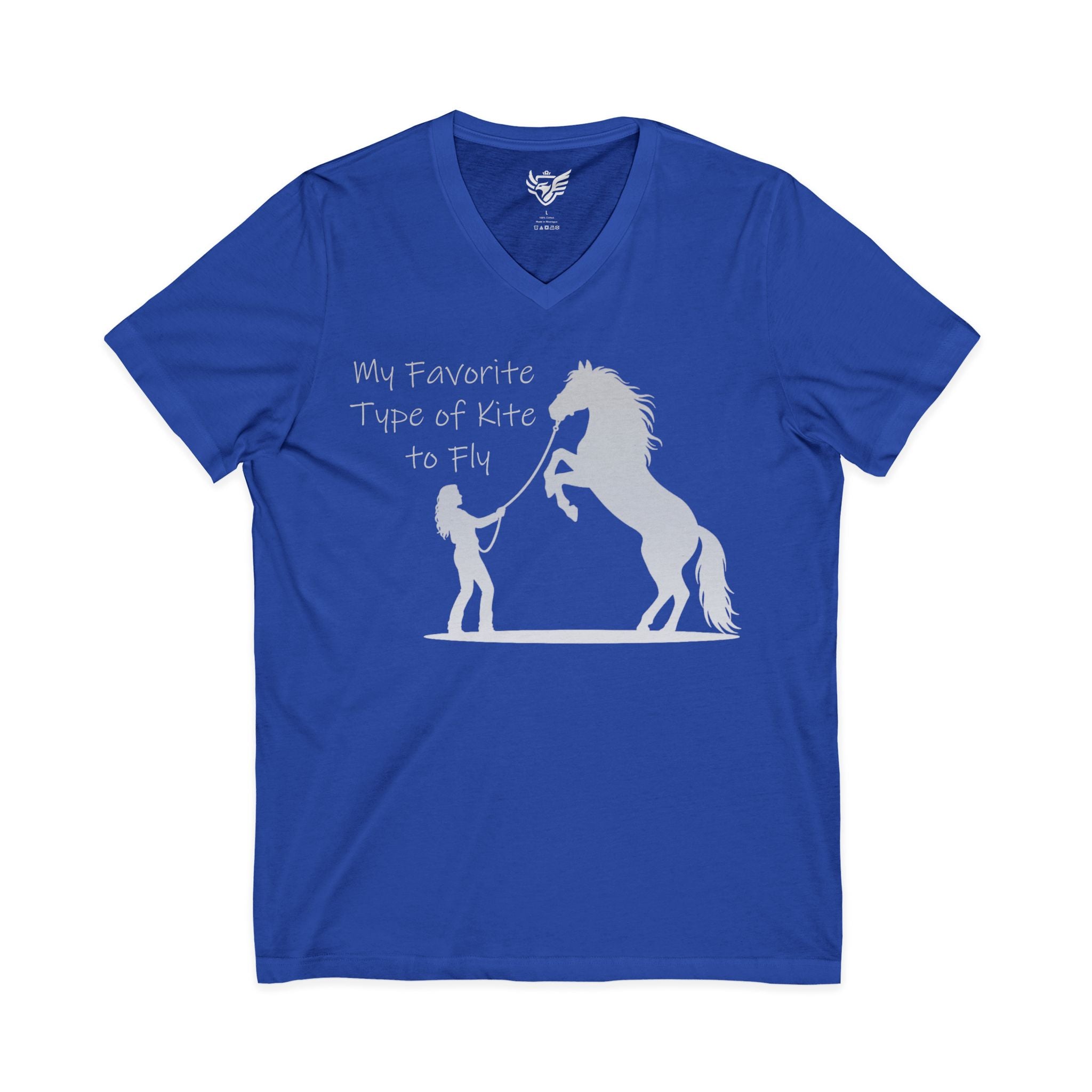 My Favorite Type of Kite Jersey Short Sleeve V-Neck Tee