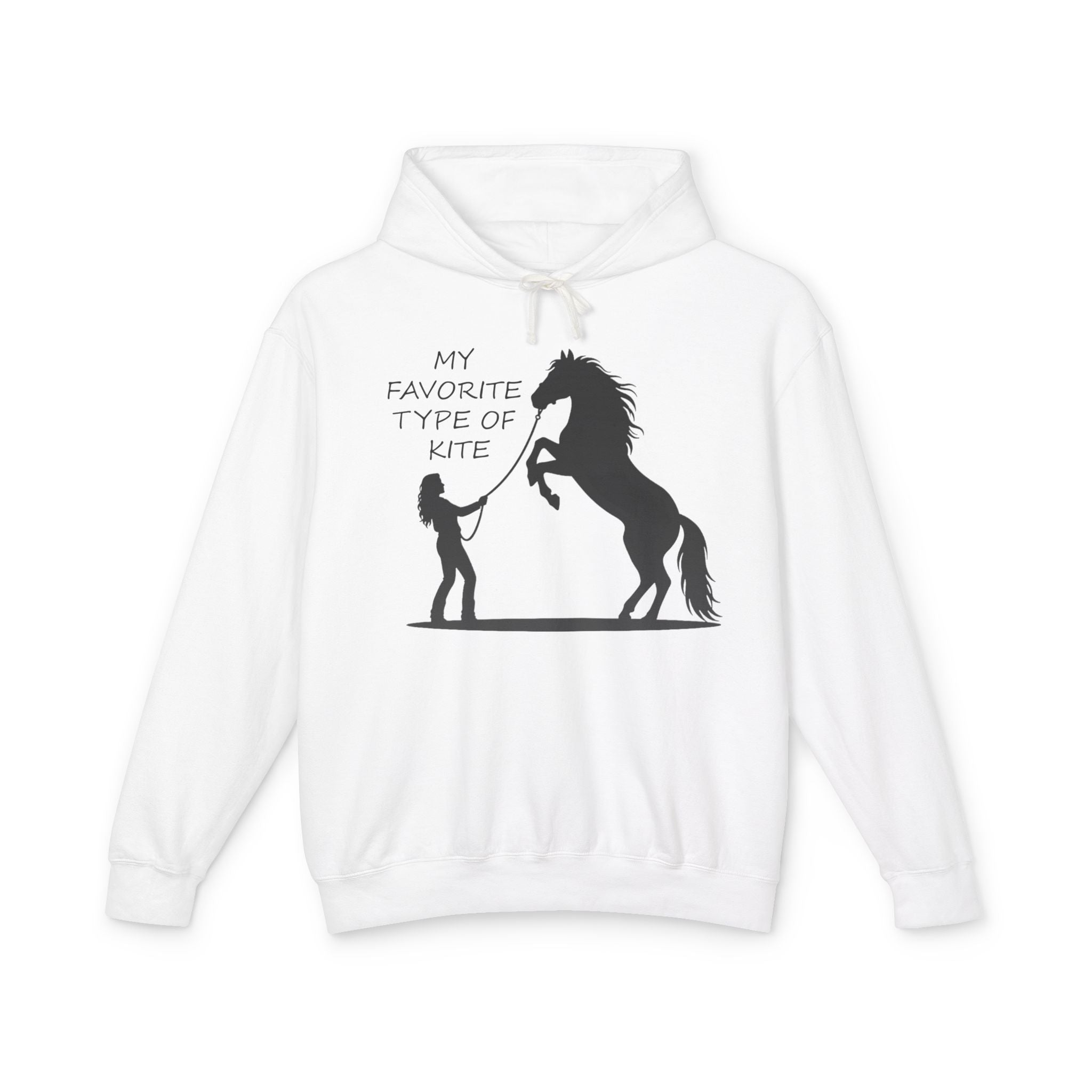 My Favorite Type of Kite Lightweight Hooded Sweatshirt