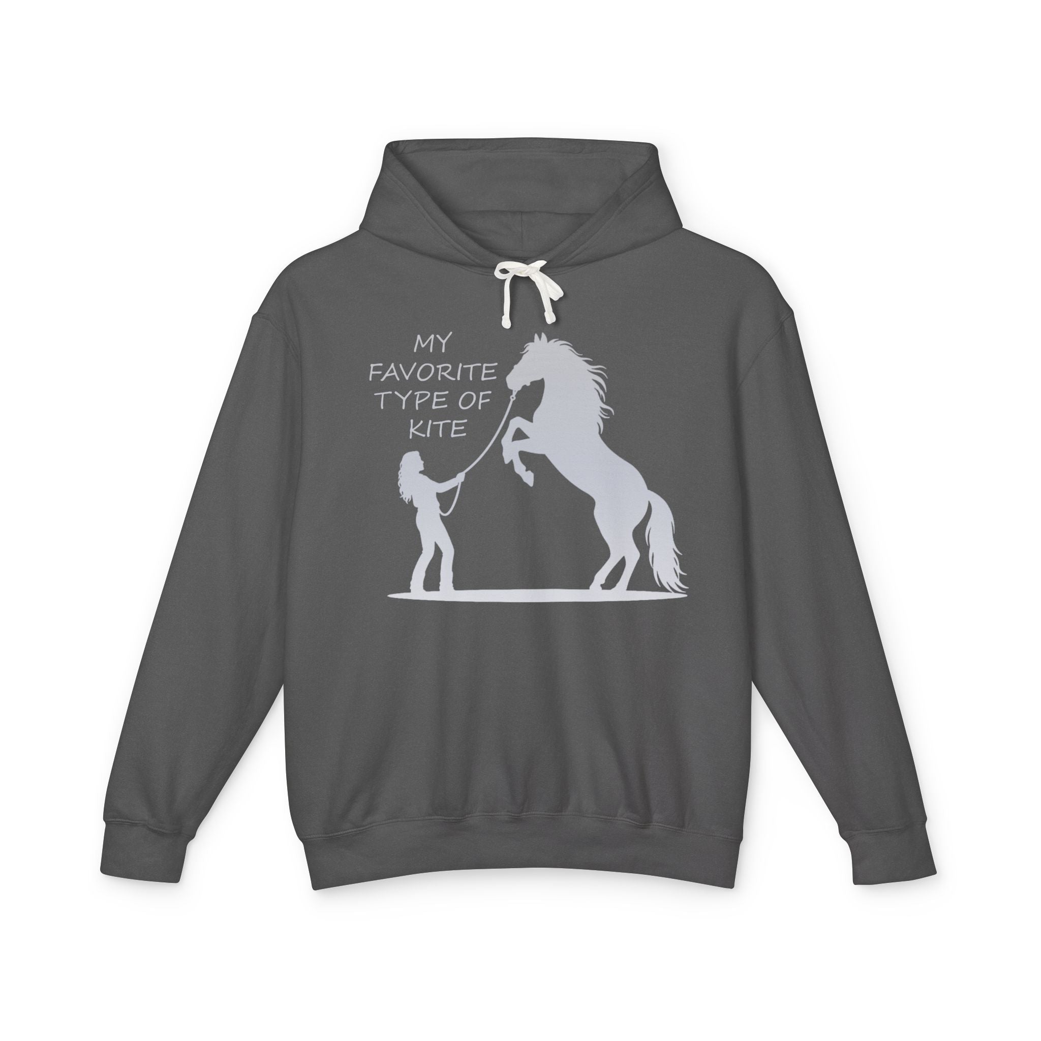 My Favorite Type of Kite Lightweight Hooded Sweatshirt
