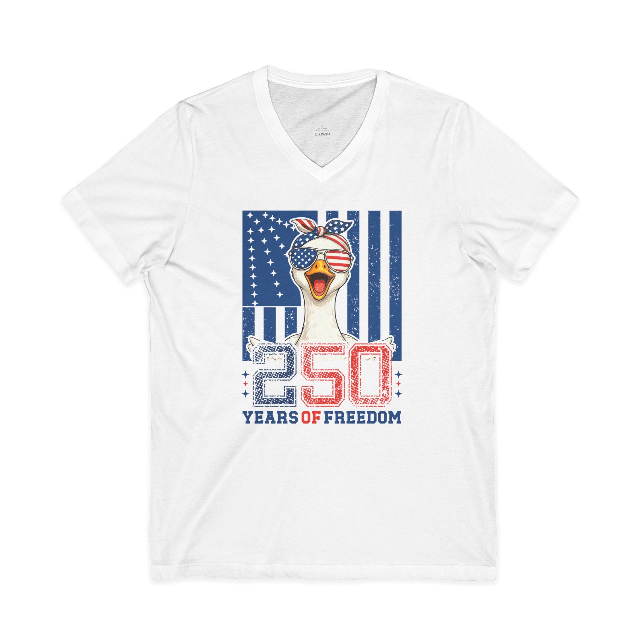 Celebration Goose Jersey Short Sleeve V-Neck Tee