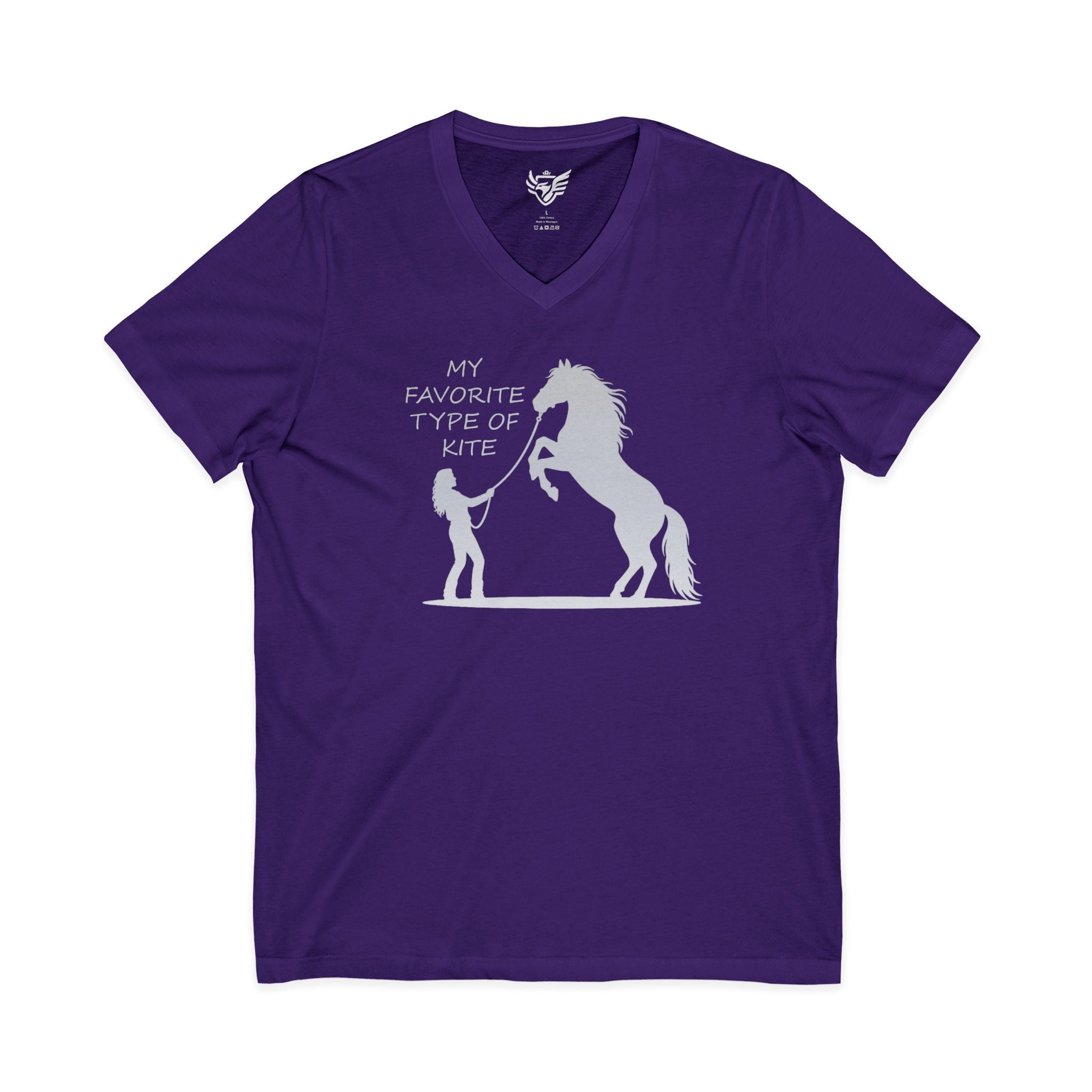 My Favorite Type of Kite Jersey Short Sleeve V-Neck Tee