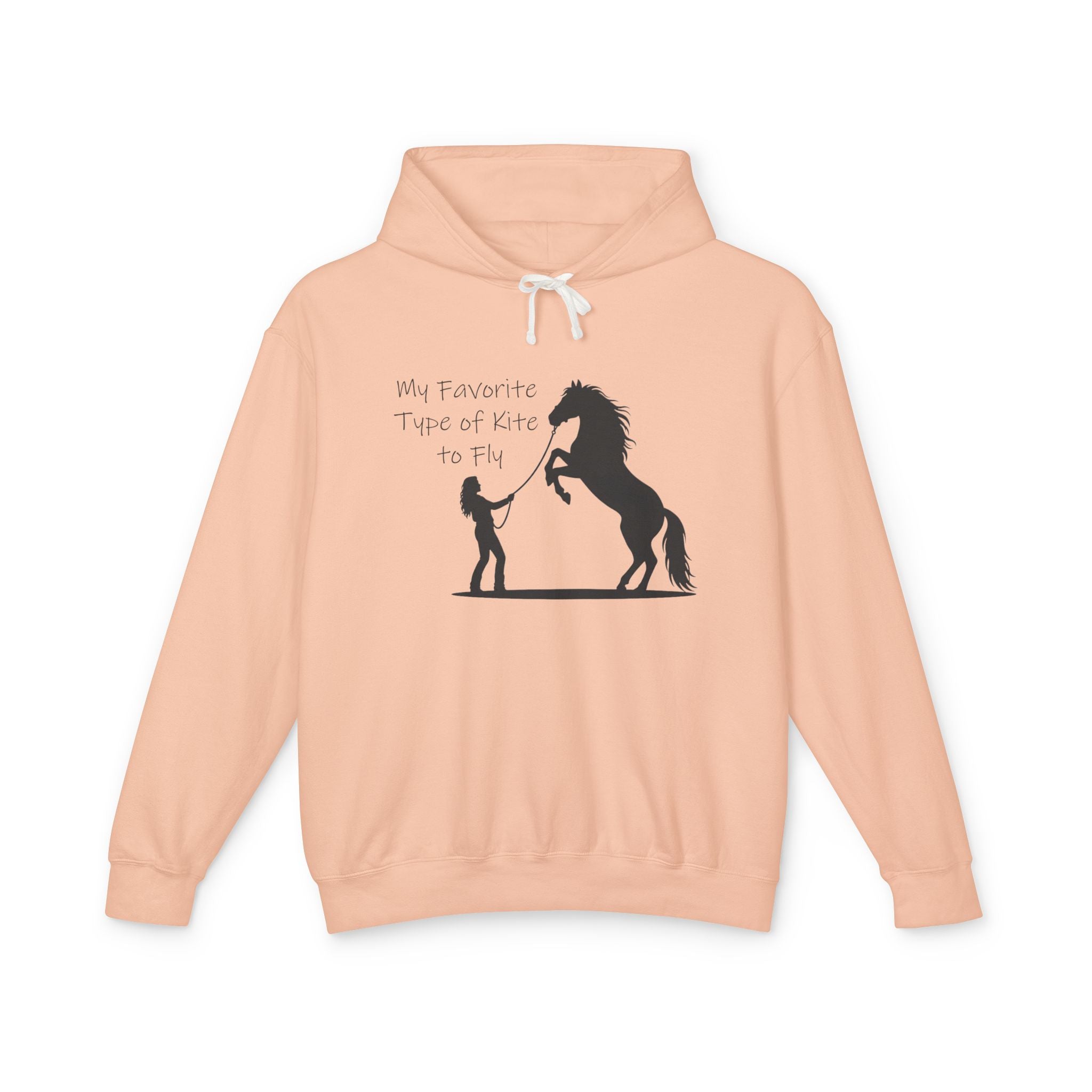 My Favorite Type of Kite Lightweight Hooded Sweatshirt