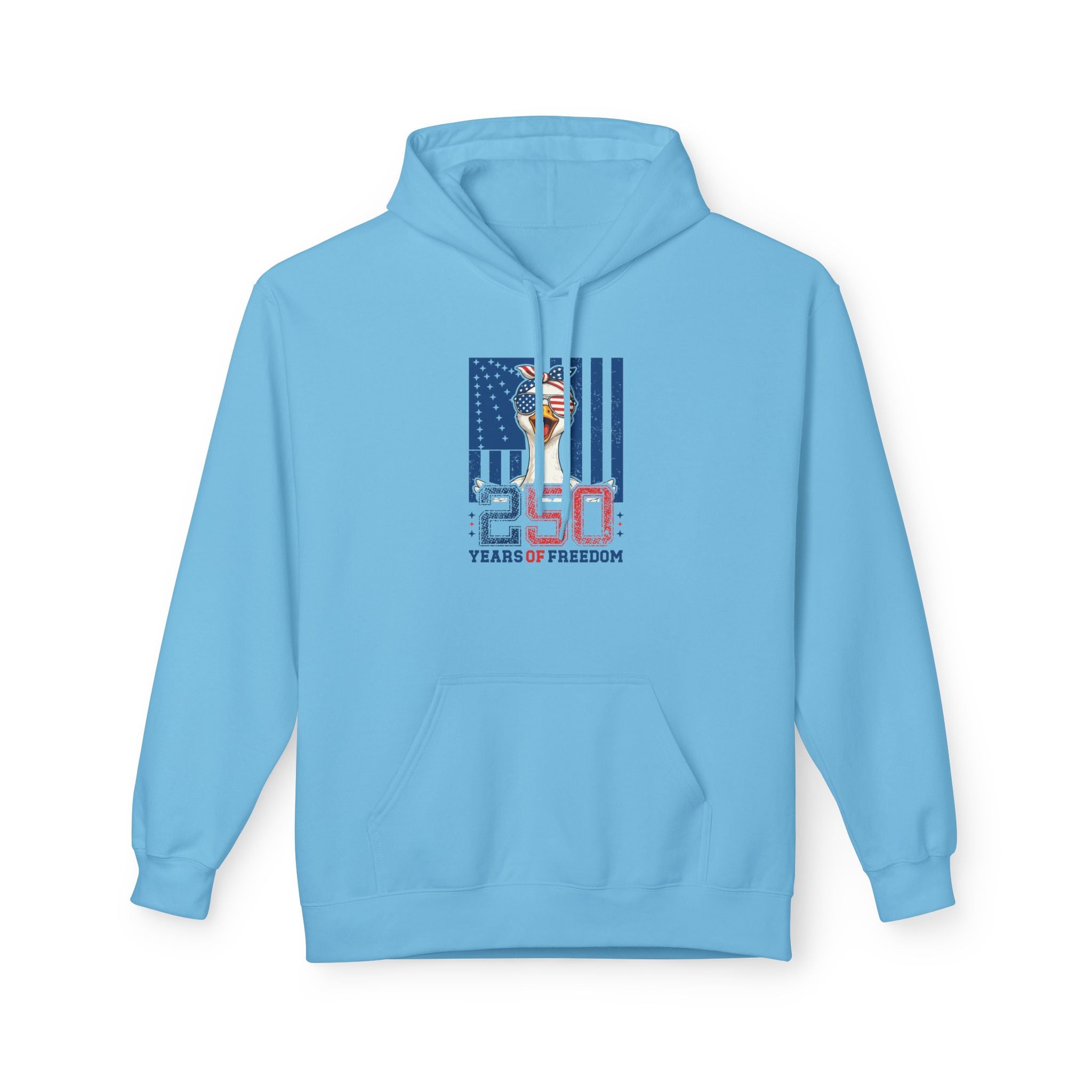 Celebration Goose Midweight Softstyle Fleece Hoodie