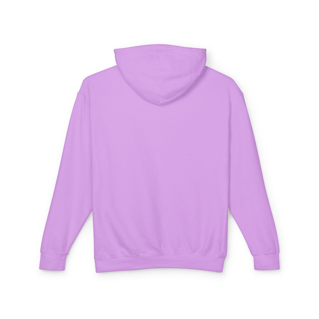 My Favorite Type of Kite Lightweight Hooded Sweatshirt