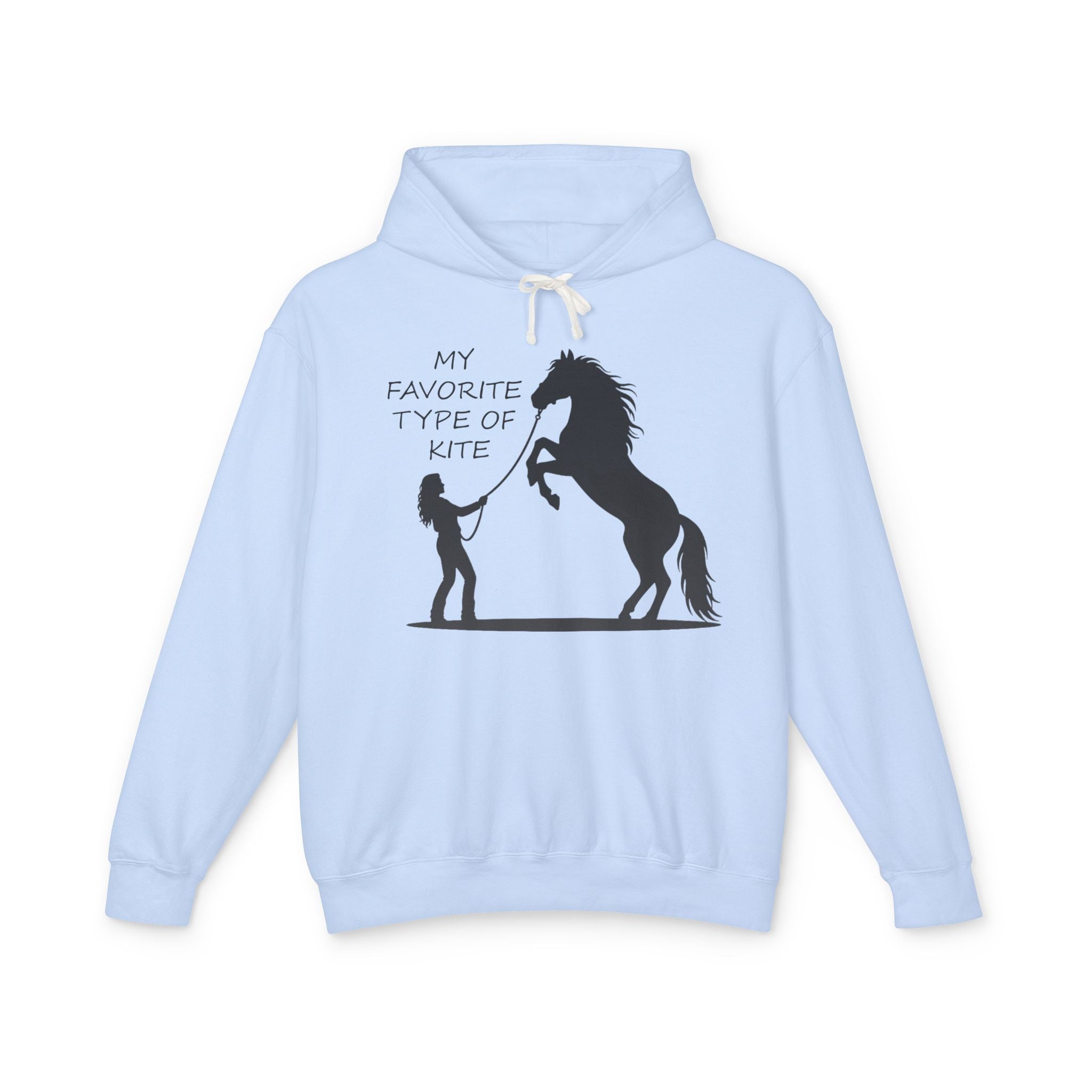 My Favorite Type of Kite Lightweight Hooded Sweatshirt